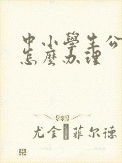 中小学生公交卡怎么办理