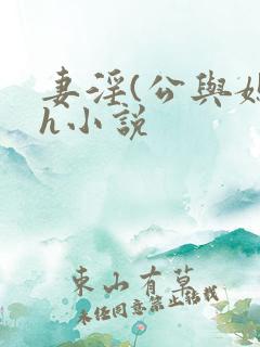 妻淫(公与媳7h小说
