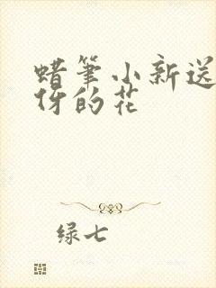 蜡笔小新送给美伢的花