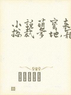小说萌宝来袭:总裁爹地,宠上天