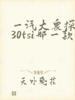 一汽大众探岳330tsi哪一款性价比高