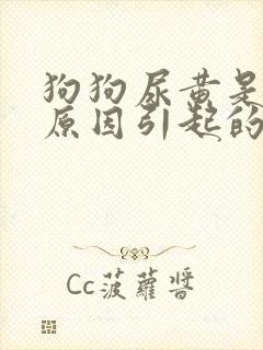 狗狗尿黄是什么原因引起的