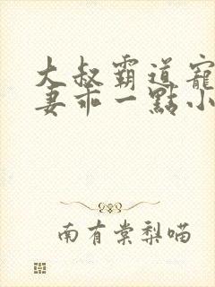大叔霸道宠小甜妻乖一点小说免费阅读