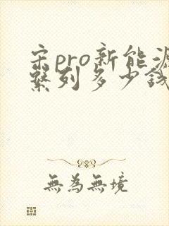 宋pro新能源系列多少钱