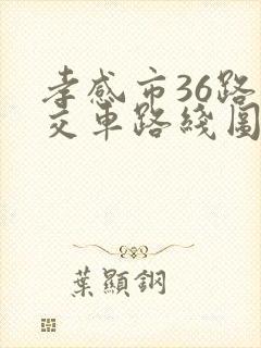 孝感市36路公交车路线图
