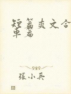 短篇爽文合集公车篇