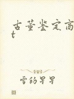 古董鉴定商txt