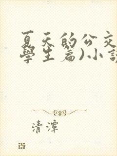 夏天的公交车(学生篇)小说
