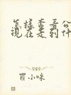怎样查看公交车现在走到什么位置