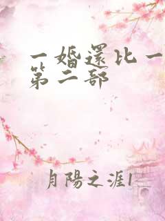 一婚还比一婚高第二部
