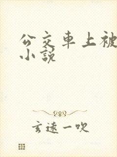 公交车上被摸了小说
