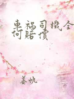车祸司机全责如何赔偿
