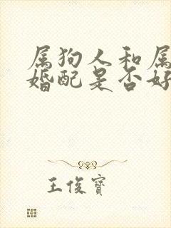 属狗人和属马的婚配是否好