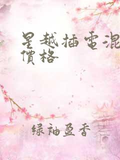 星越插电混动版价格