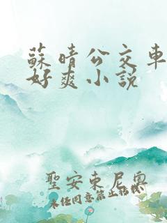 苏晴公交车被强好爽小说