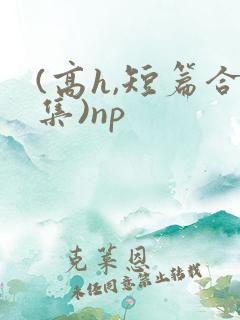 (高h,短篇合集)np