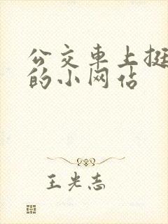 公交车上挺进她的小网站