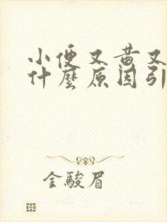 小便又黄又骚是什么原因引起的