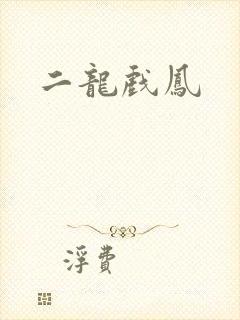二龙戏凤