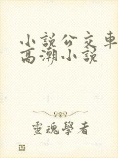 小说公交车被上高潮小说