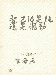 智己l6是纯电还是混动