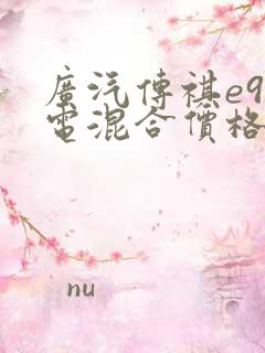 广汽传祺e9油电混合价格