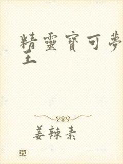精灵宝可梦四天王