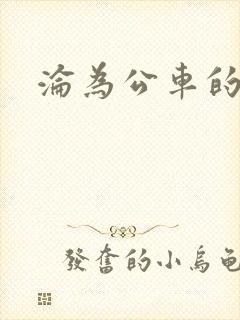 沦为公车的校花