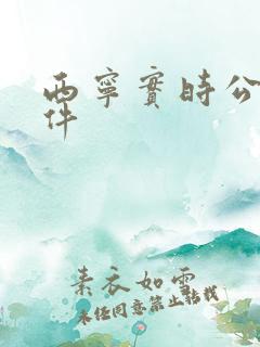 西宁实时公交软件