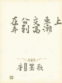 在公交车上被人弄到高潮