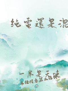 纯电还是混动?