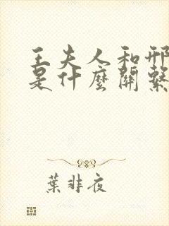 王夫人和邢夫人是什么关系