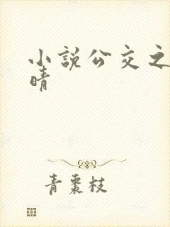 小说公交之狼诗晴