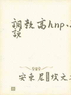 调教高hnp小说