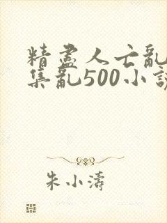 精尽人亡乱肉合集乱500小说