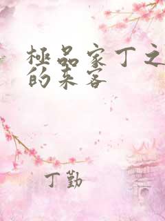极品家丁之远方的来客