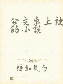 公交车上被侵犯的小说