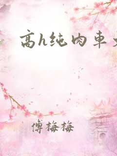 高h纯肉车文