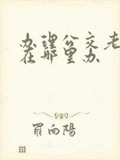 办理公交老年卡在哪里办