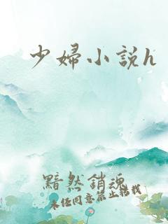 少妇小说h