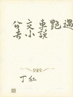 公交车艳遇被进去小说