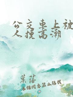 公交车上被陌生人摸高潮