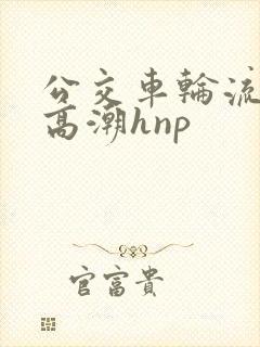 公交车轮流操到高潮hnp