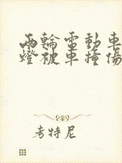 两轮电动车闯红灯被车撞伤怎么定责
