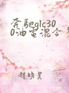 奔驰glc300油电混合多少钱