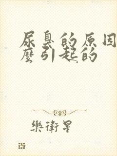 尿臭的原因是什么引起的