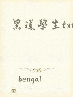 黑道学生txt