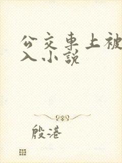 公交车上被后插入小说