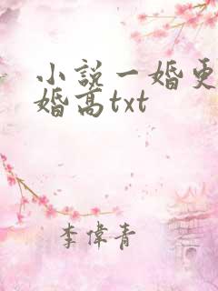 小说一婚更比一婚高txt