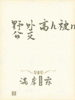 野外高h被np公交